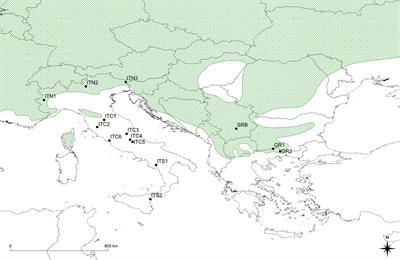 Genetic Analysis by nuSSR Markers of Silver Birch (Betula pendula Roth) Populations in Their Southern European Distribution Range